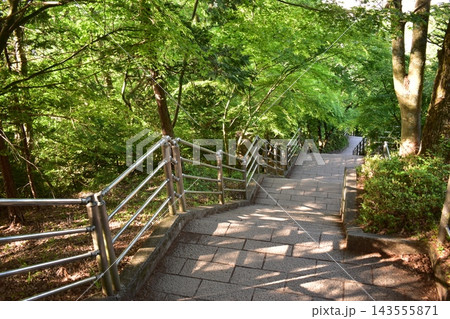 山梨　日本　階段　新倉山浅間公園 143555871
