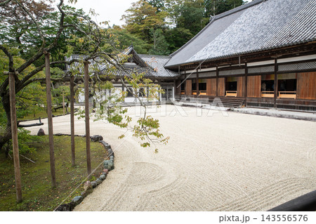 瑞巌寺(宮城県)　国宝の本堂と臥龍梅 143556576