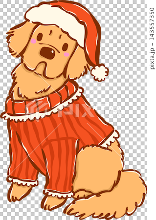 Christmas Dog Golden Retriever in Red Sweater Hand Drawn Christmas Dog Golden Retriever in Red Sweater Hand Drawn 143557350