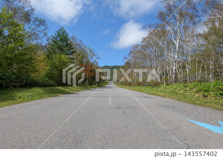 秋晴れの北八ヶ岳・白樺並木が続く一本道と青空のドライブ風景 秋晴れの北八ヶ岳・白樺並木が続く一本道と青空のドライブ風景 143557402