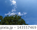 初秋の澄んだ青空と緑豊かな木々の爽やかな風景 143557469