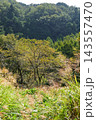 初秋の嵐山渓谷に咲くススキの穂と色づき始めた山々の秋風景 143557470