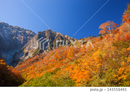 紅葉に染まる秋の谷川岳 紅葉に染まる秋の谷川岳 143558491