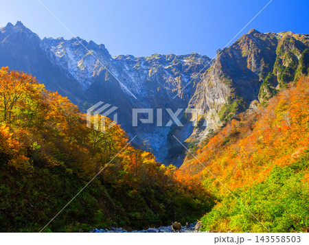 紅葉に染まる秋の谷川岳一ノ倉沢 紅葉に染まる秋の谷川岳一ノ倉沢 143558503