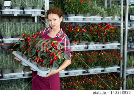Woman seller examines seedlings of red pepper, before sending them to customer 143558959