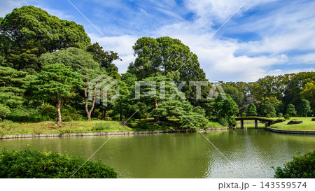 大名庭園六義園 青空と大泉水 東京都 大名庭園六義園 青空と大泉水 東京都 143559574