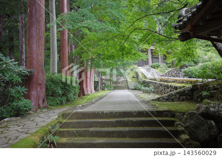 福井県小浜市にある国宝明通寺の境内庭園 福井県小浜市にある国宝明通寺の境内庭園 143560029