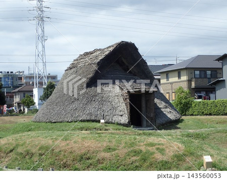 静岡県静岡市駿河区登呂にあり水田遺構を伴う弥生時代の集落遺跡、低湿地遺跡である登呂遺跡（とろいせき） 143560053