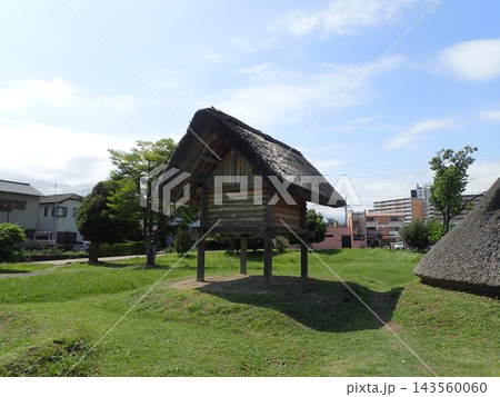 静岡県静岡市駿河区登呂にあり水田遺構を伴う弥生時代の集落遺跡、低湿地遺跡である登呂遺跡（とろいせき） 143560060