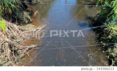 Clear Freshwater River Water Flowing in Nature    143560213