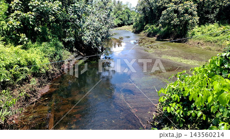 Shallow Freshwater River with Aquatic Vegetation    143560214