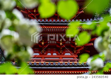 京都　岩船寺の新緑 143560540