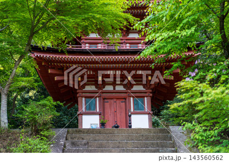 京都　浄瑠璃寺の新緑 143560562