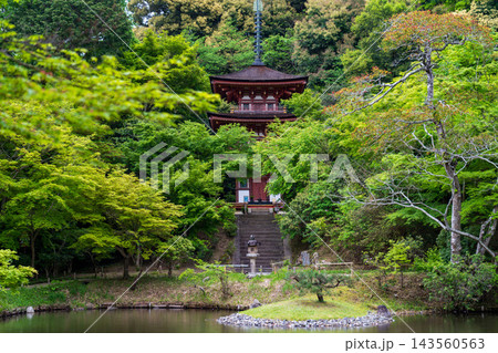 京都 浄瑠璃寺の新緑 京都 浄瑠璃寺の新緑 143560563