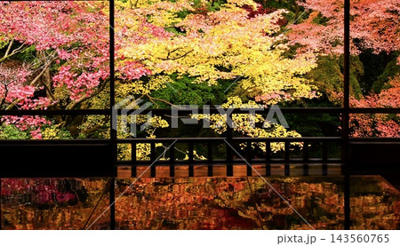 京都 瑠璃光院の机もみじ 秋の特別拝観 紅葉 反射 映り込み 窓 京都 瑠璃光院の机もみじ 秋の特別拝観 紅葉 反射 映り込み 窓 143560765