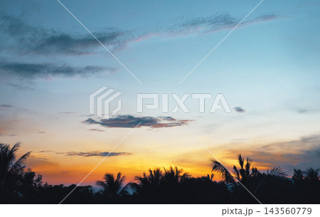 Horizontal landscape photograph showcasing a stunning tropical sunset with vibrant orange and gold horizons blending into a blue sky, featuring dark silhouettes of palm trees along the bottom and soft Horizontal landscape photograph showcasing a stunning tropical sunset with vibrant orange and gold horizons blending into a blue sky, featuring dark silhouettes of palm trees along the bottom and soft 143560779