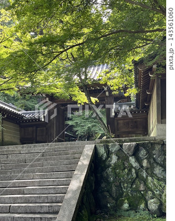 青もみじと苔むした石垣と石段のある古刹の門　京都 143561060