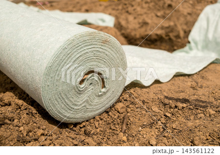 A gardener prepares the soil by laying down rolled landscape fabric on sandy soil, ready for gardening use. The fabric is positioned near a trench in a garden area during daylight. A gardener prepares the soil by laying down rolled landscape fabric on sandy soil, ready for gardening use. The fabric is positioned near a trench in a garden area during daylight. 143561122