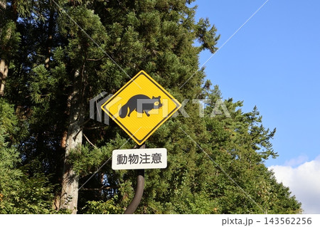 タヌキがモチーフの動物注意の道路標識 タヌキがモチーフの動物注意の道路標識 143562256