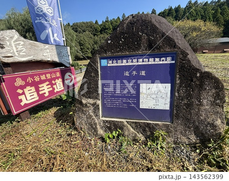 小谷城追手道 143562399