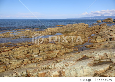 綱不知海岸 岩だらけの海岸 綱不知海岸 岩だらけの海岸 143563929