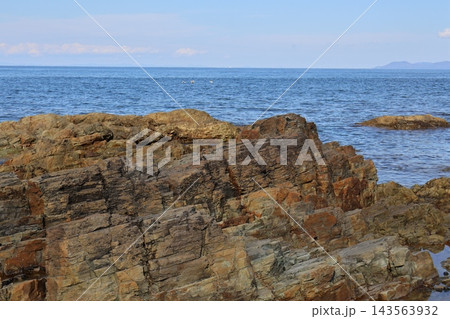 綱不知海岸　岩だらけの海岸 143563932
