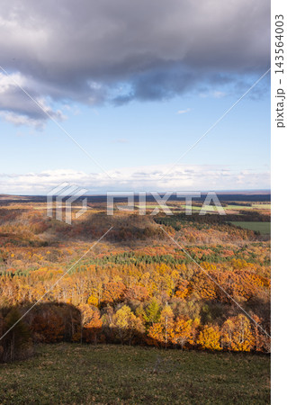 北海道中標津町向陽台からの風景 143564003