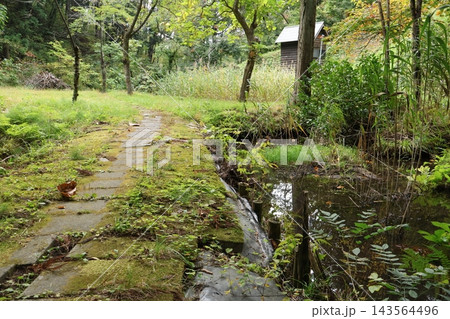 十和田霊泉 森の中の湧き水への道 十和田霊泉 森の中の湧き水への道 143564496