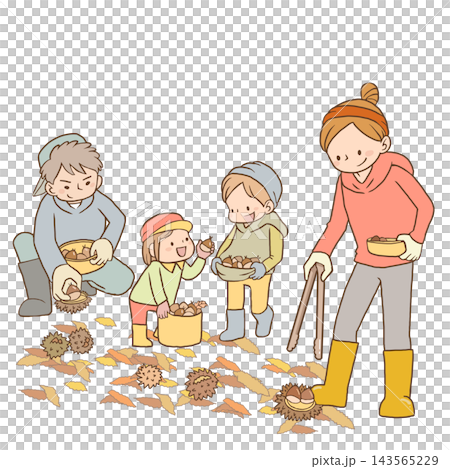 Family picking chestnuts Family picking chestnuts 143565229