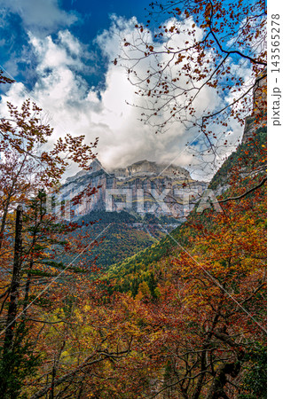 Colorful beech fall forest in Ordesa and Monte Perdido National park, Pyrenees, Aragon in Spain Colorful beech fall forest in Ordesa and Monte Perdido National park, Pyrenees, Aragon in Spain 143565278