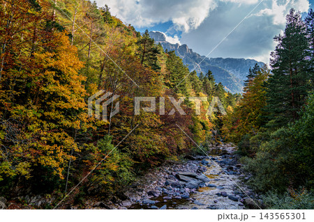 Driving through the Selva de Oza forest in Valley of Hecho, Aragonese Pyrenees, Huesca Province in Spain 143565301