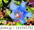 日光を浴びているリンドウのアップ（afr20261007124655) 143565782