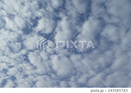 高積雲、ひつじ雲。 高積雲、ひつじ雲。 143565783
