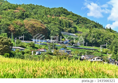 姨捨棚田の稲穂越しに眺める姨捨駅 姨捨棚田の稲穂越しに眺める姨捨駅 143566321