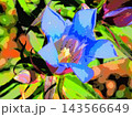 日光を受けるリンドウ（afr20261007124716） 143566649