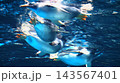 仲間と泳ぐペンギン 143567401
