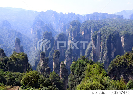 Majestic quartz sandstone pillars and world's tallest outdoor elevator, Zhangjiajie National Park, China. Avatar Mountains, Wulingyuan scenic area, Hunan. Towering peaks, stunning karst landscape view 143567470