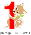犬の日_柴犬のイラスト 143568951