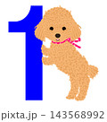 犬の日_トイプードルのイラスト 143568992