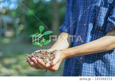 Hands holding a small plant sapling in soil, ready for planting. Concept for environmental protection, sustainability and reforestation efforts. Hands holding a small plant sapling in soil, ready for planting. Concept for environmental protection, sustainability and reforestation efforts. 143569153