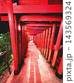 夜に徹赤い鳥居 143569324