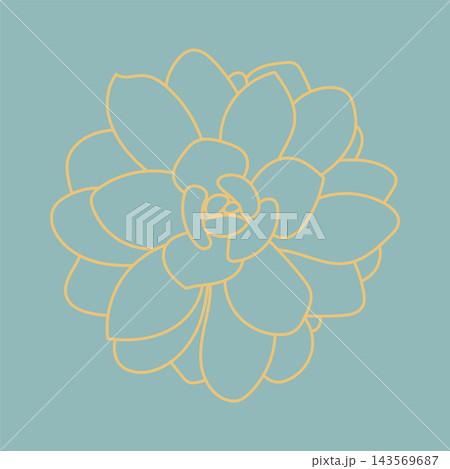 Doodle Succulent Flower. Desert flower for print and design, pattern. Cute background. Doodle Succulent Flower. Desert flower for print and design, pattern. Cute background. 143569687