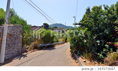 Cefalu, Italy. 20 August 2026. The southern climate of Sicily fosters beautiful, lush vegetation that densely covers the landscape. 143571687