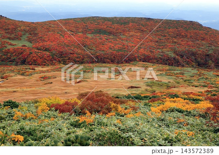 秋の紅葉の栗駒山 143572389