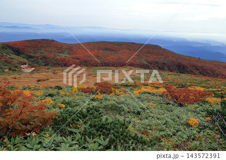 秋の紅葉の栗駒山 143572391