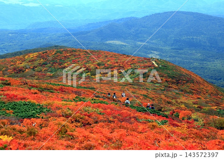 秋の紅葉の栗駒山 143572397