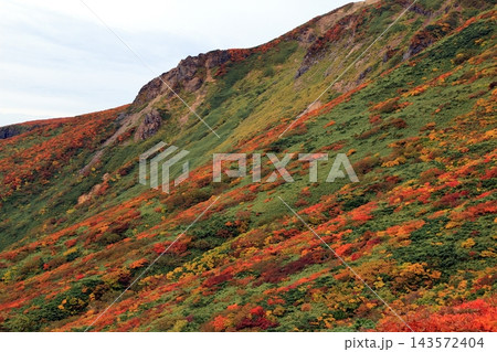 秋の紅葉の栗駒山 秋の紅葉の栗駒山 143572404