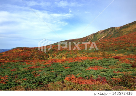 秋の紅葉の栗駒山 秋の紅葉の栗駒山 143572439