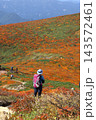 秋の紅葉の栗駒山 143572461
