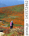 秋の紅葉の栗駒山 143572462